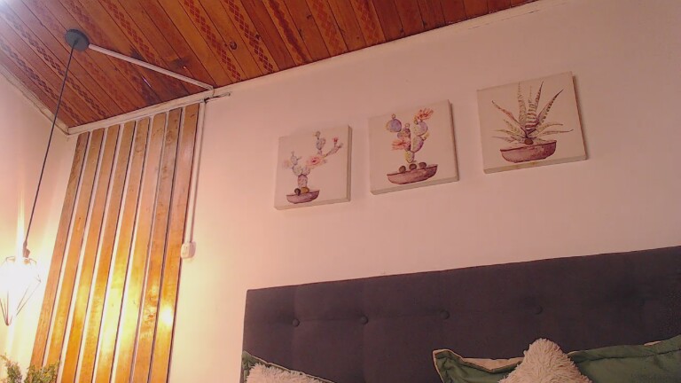 andreasecret's Streamate show and profile